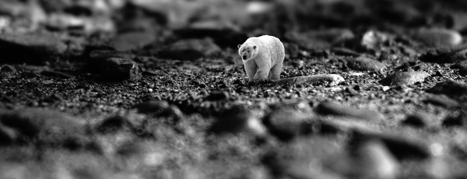 Observatorio de Cambio Climático
